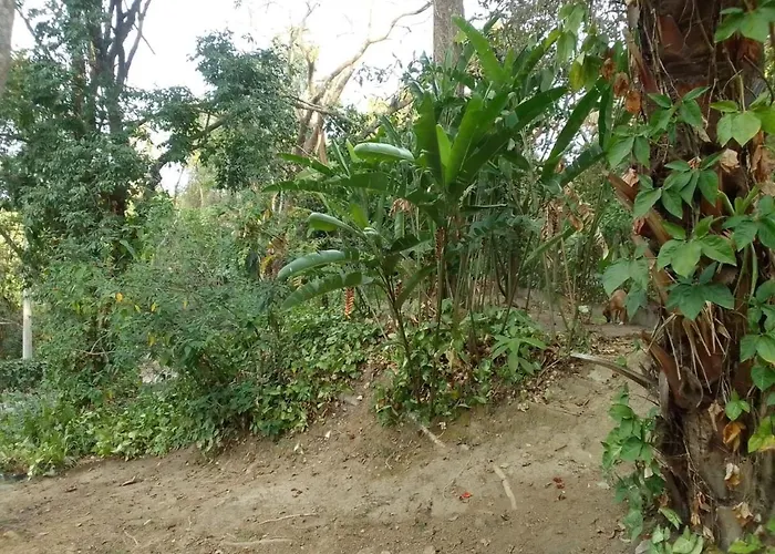 Casa Penedo Martinelli - Tranquilidade e muito verde